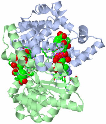 Image Asym./Biol. Unit - sites