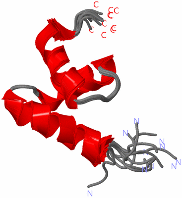 Image NMR Structure - all models