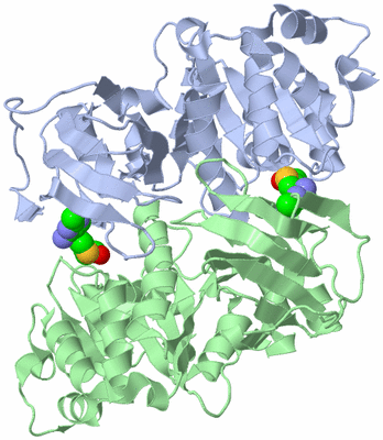 Image Asym./Biol. Unit