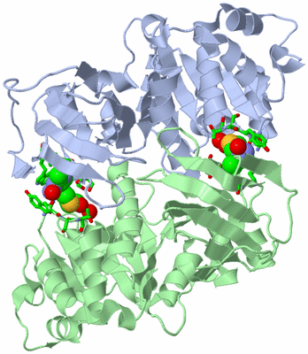 Image Asym./Biol. Unit - sites