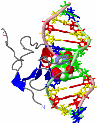 Image NMR Structure - model 1