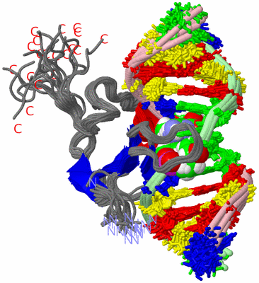 Image NMR Structure - all models