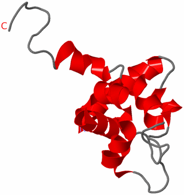 Image NMR Structure - model 1