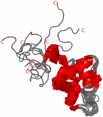 Image NMR Structure - all models