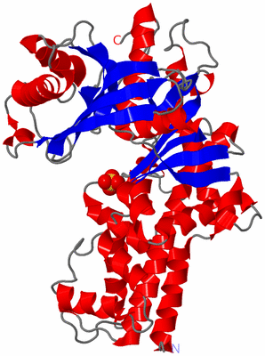 Image Asym./Biol. Unit