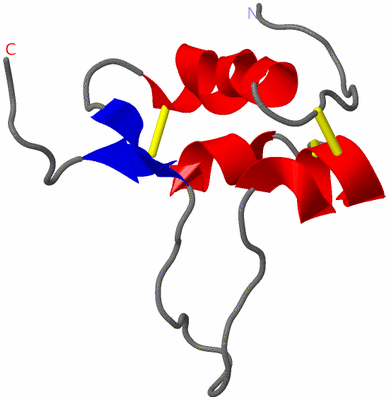 Image NMR Structure - model 1