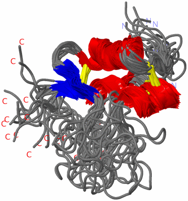 Image NMR Structure - all models