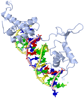 Image Biological Unit 1