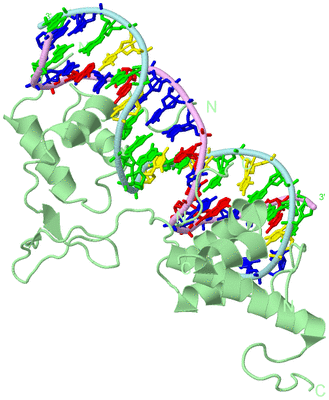 Image Biological Unit 2