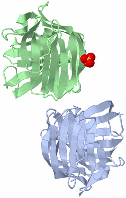 Image Asymmetric Unit