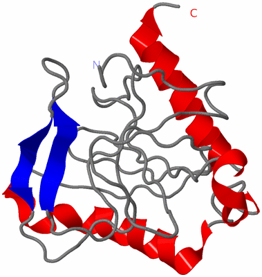 Image Asymmetric Unit