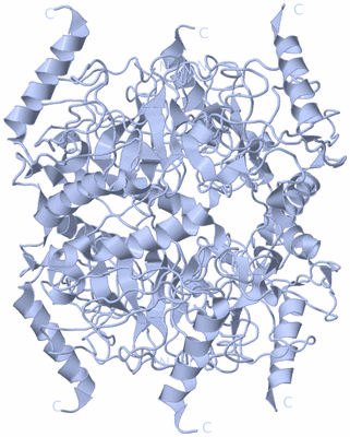 Image Biological Unit 1