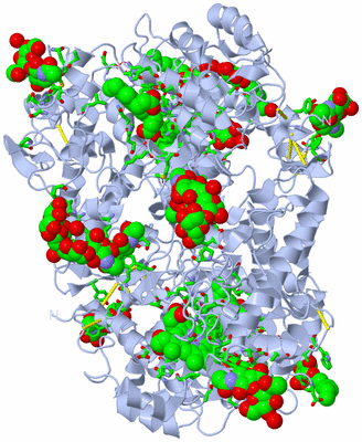 Image Biol. Unit 1 - sites