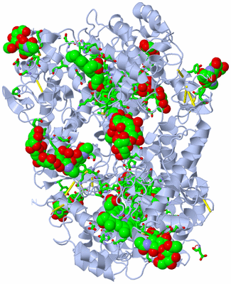 Image Biol. Unit 1 - sites