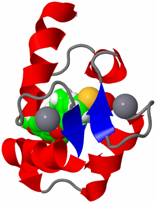 Image NMR Structure - model 1