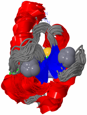 Image NMR Structure - all models