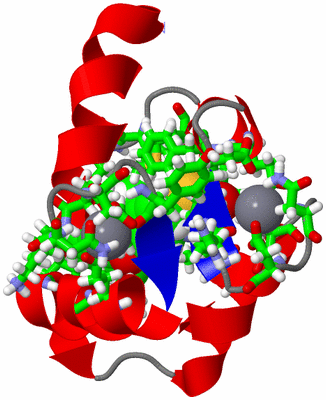 Image NMR Structure - model 1, sites