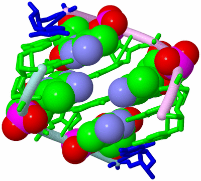 Image Biological Unit 3