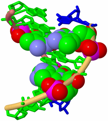 Image Biological Unit 4