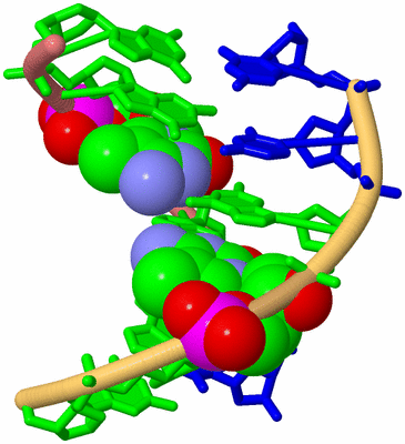 Image Biological Unit 4