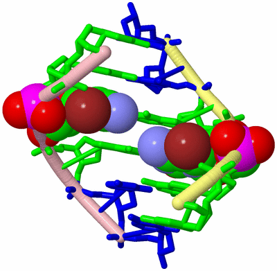 Image Biological Unit 2