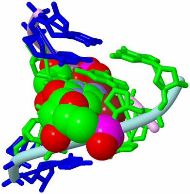 Image Biological Unit 3