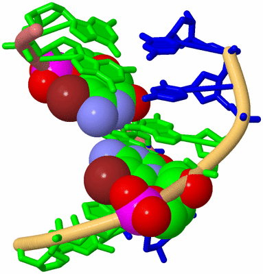 Image Biological Unit 4