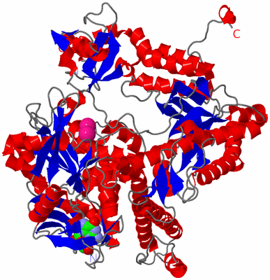 Image Asym./Biol. Unit