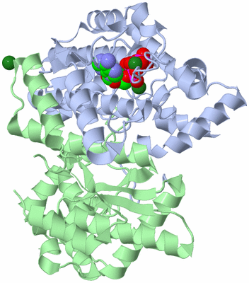 Image Asym./Biol. Unit