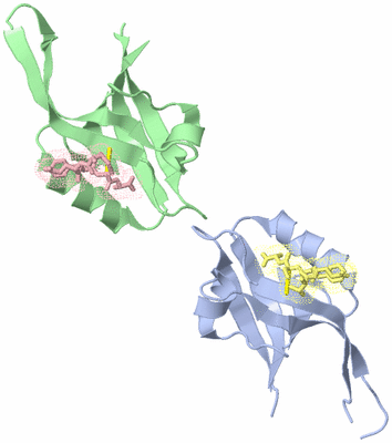 Image Asymmetric Unit