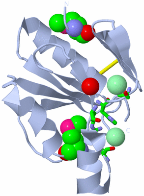 Image Biol. Unit 1 - sites