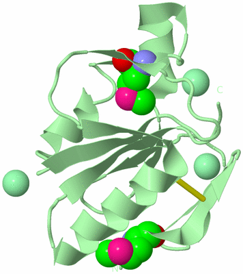 Image Biological Unit 2