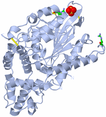 Image Biol. Unit 1 - sites