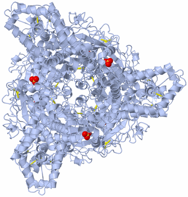 Image Biological Unit 2