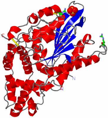 Image Asym. Unit - sites