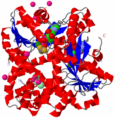 Image Asymmetric Unit