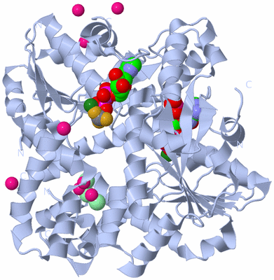 Image Biological Unit 1