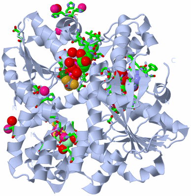Image Biol. Unit 1 - sites
