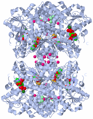 Image Biological Unit 2