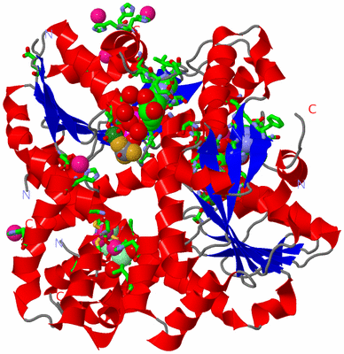 Image Asym. Unit - sites