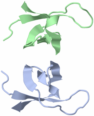 Image NMR Structure - model 1