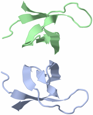 Image NMR Structure - model 1