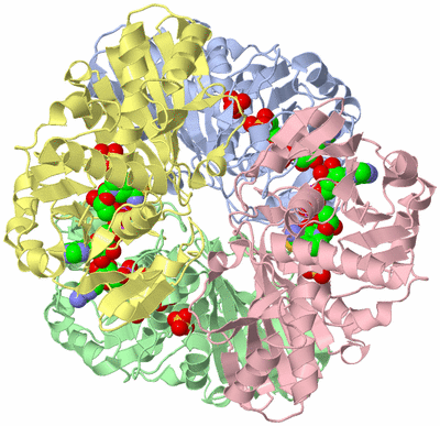 Image Asym./Biol. Unit