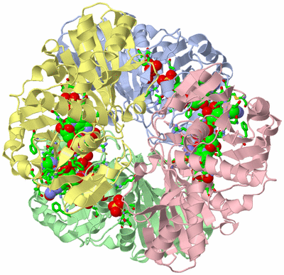 Image Asym./Biol. Unit - sites