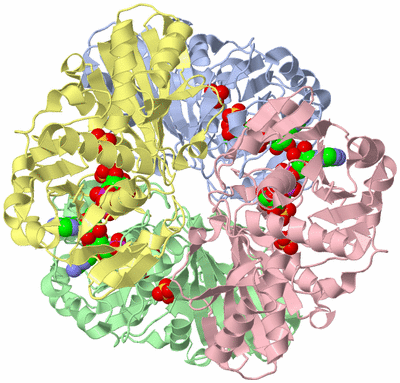 Image Asym./Biol. Unit