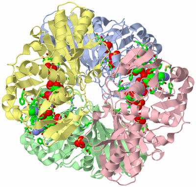 Image Asym./Biol. Unit - sites