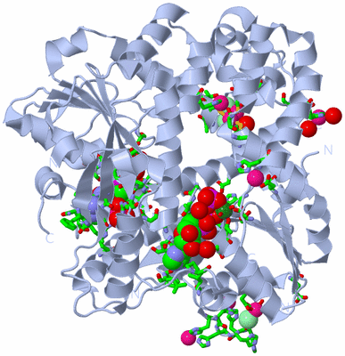 Image Biol. Unit 1 - sites