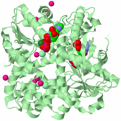Image Biological Unit 2