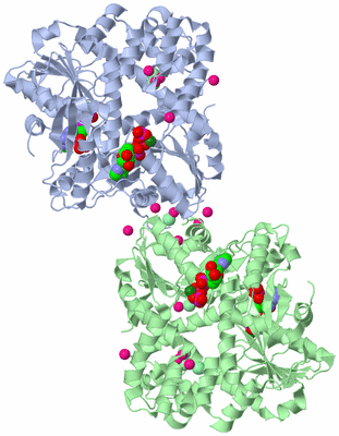 Image Biological Unit 4