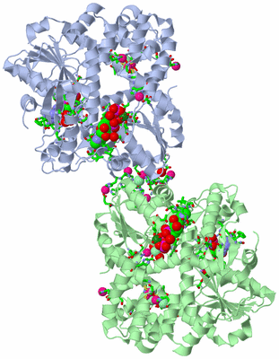 Image Asym. Unit - sites